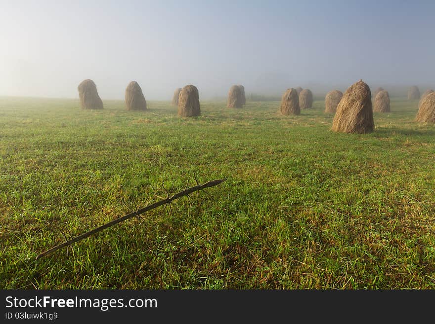 Mist in field with haycocks