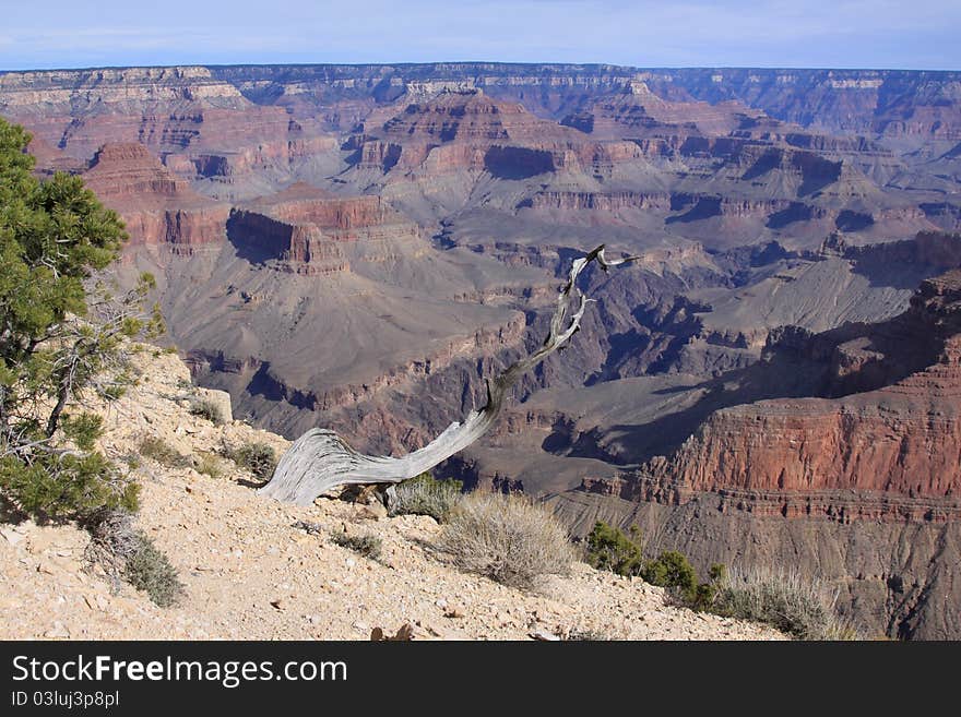 Grand Canyon Arizona Autumn The South Rim