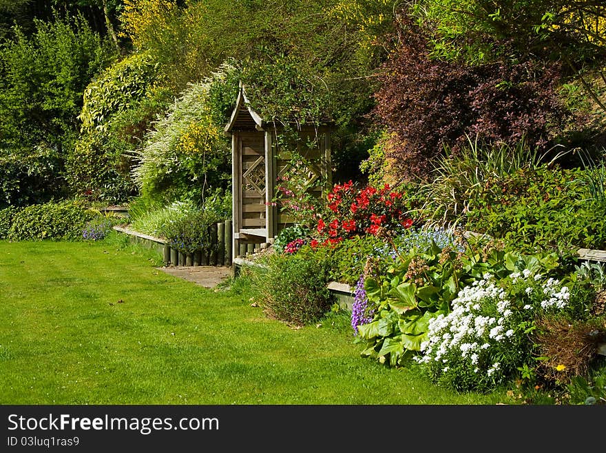 Colourful flowers in a border on a sunny day. Colourful flowers in a border on a sunny day