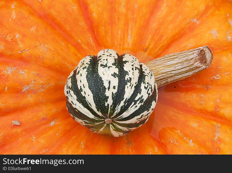 Colorful pumpkins