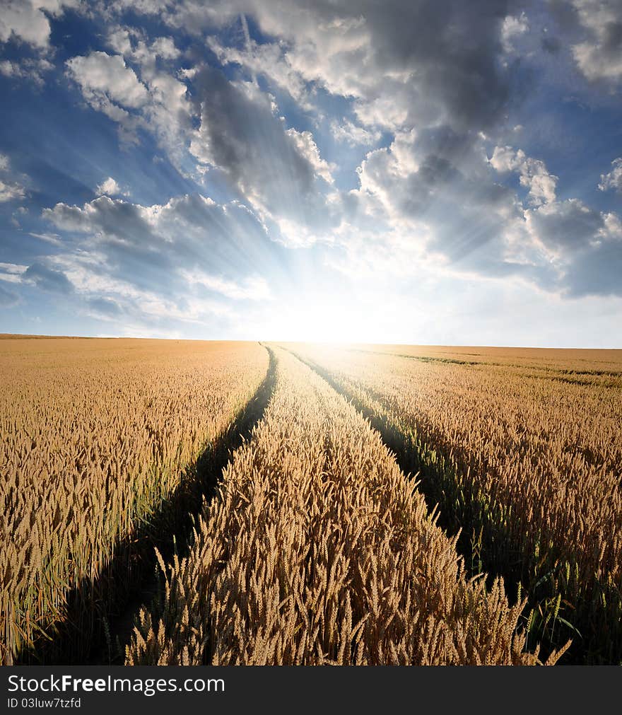 Sunset over fields