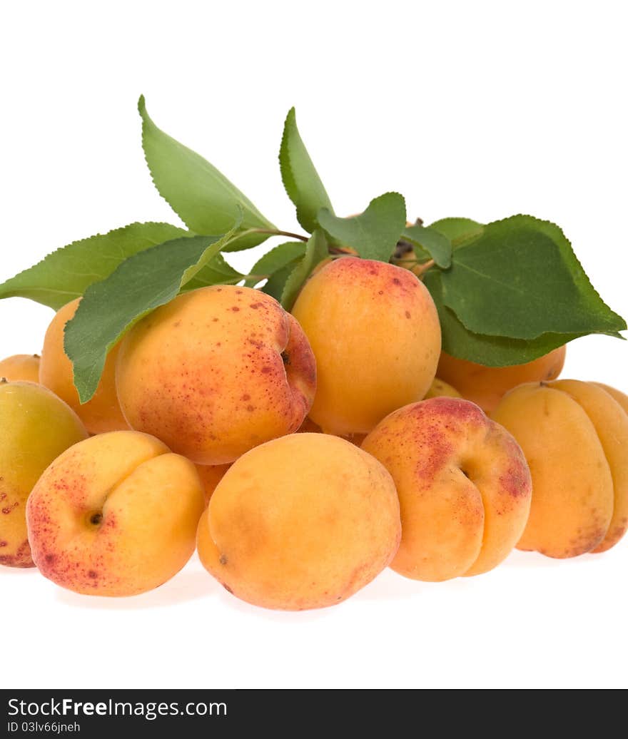 Apricots Lie A Heap