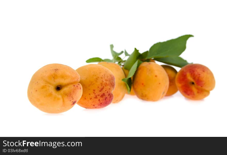 Apricots Lie A Heap