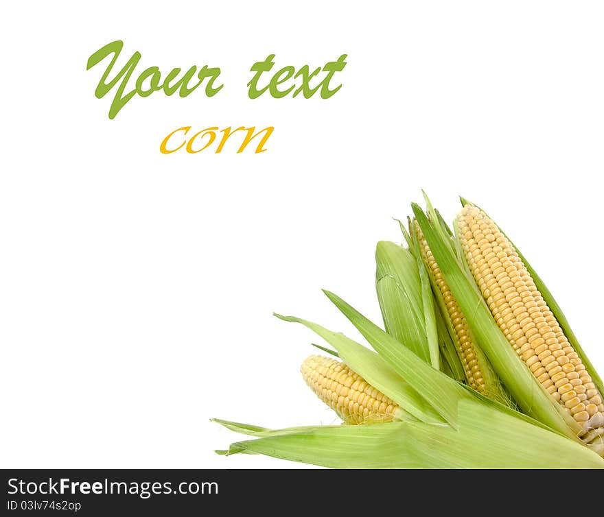 Corn With Leaves By A Background