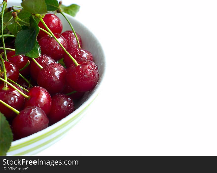 Bowl full of ripe cherries, isolated. Bowl full of ripe cherries, isolated