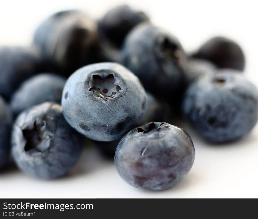 Isolated fruits - Bilberry