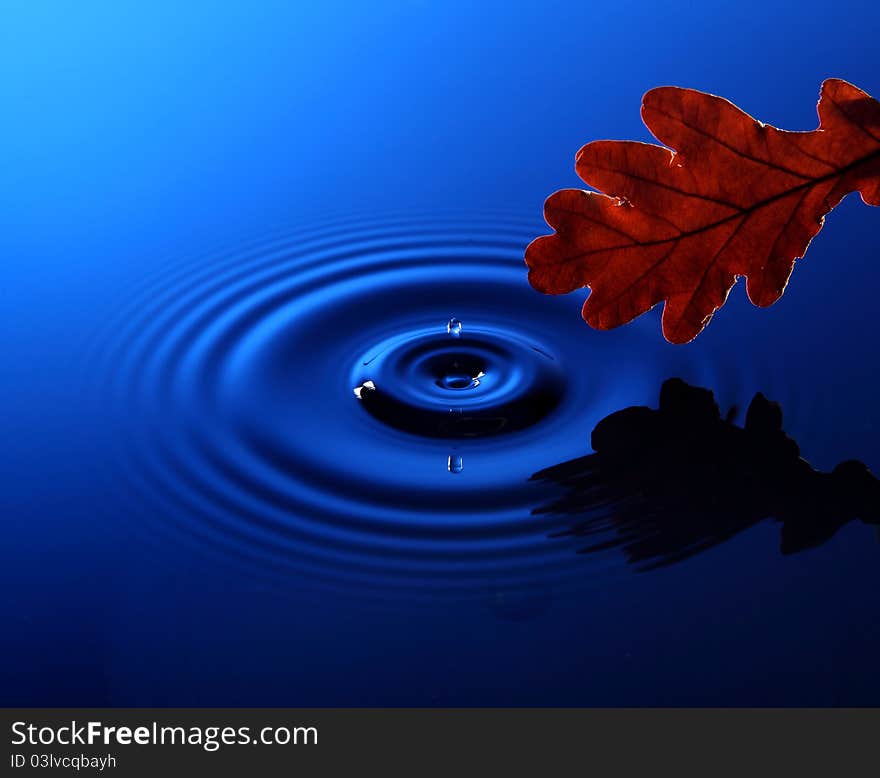 Drop of water falling into the water and leaving it circles.