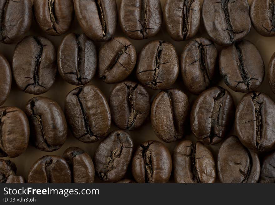 Coffee beans close-up photo