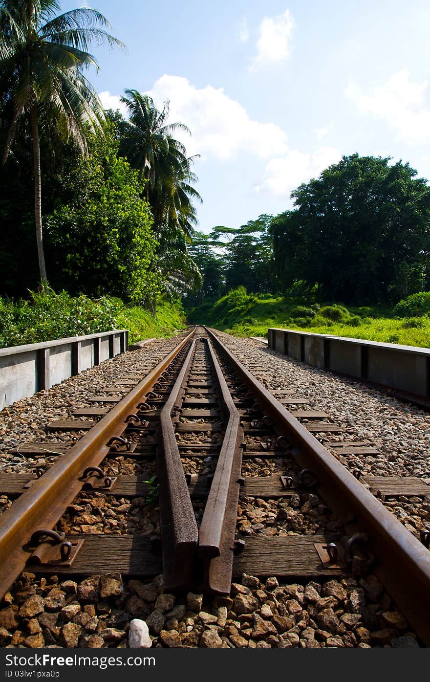 A railway track over a short bridge through a forest area. A railway track over a short bridge through a forest area