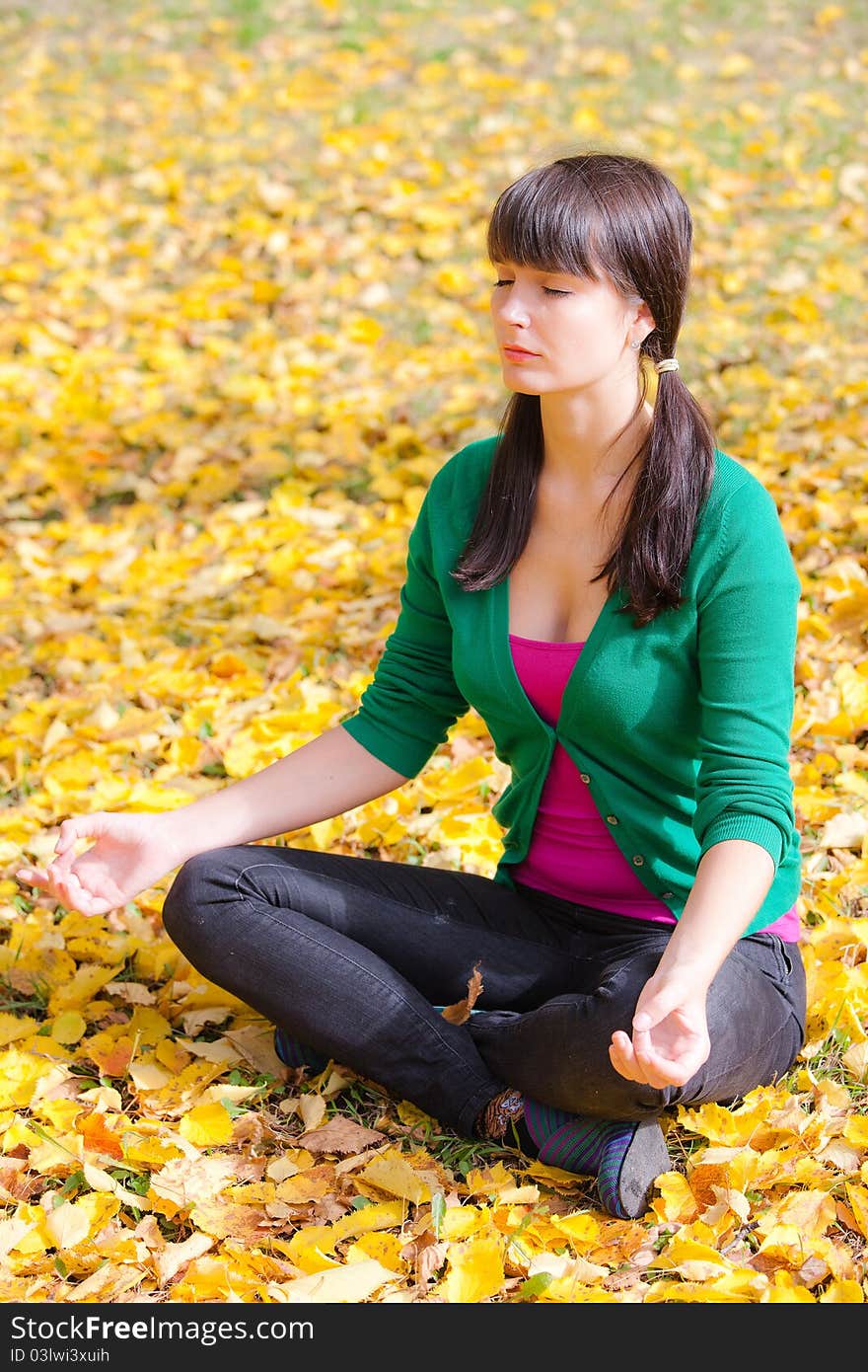 Young Girl With A Laptop In A Autumn Foliage