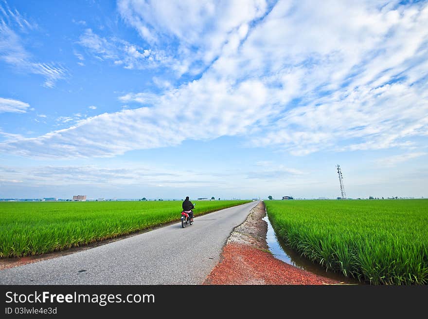 Country road