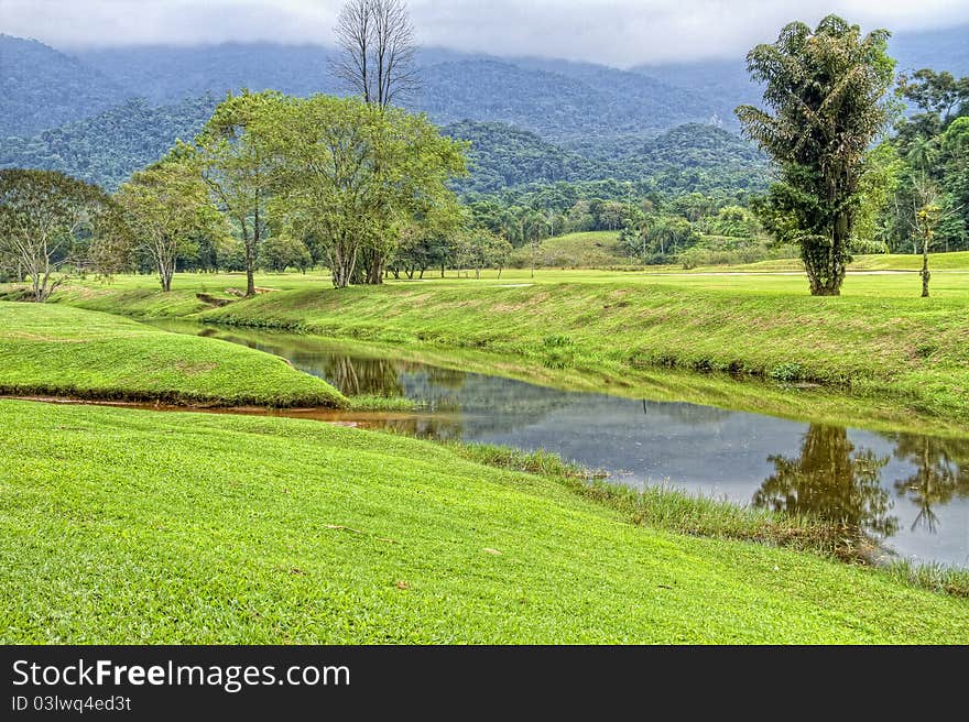 Green Meadow with Lake in Spring