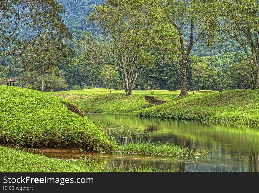 Green Meadow with Lake in Spring