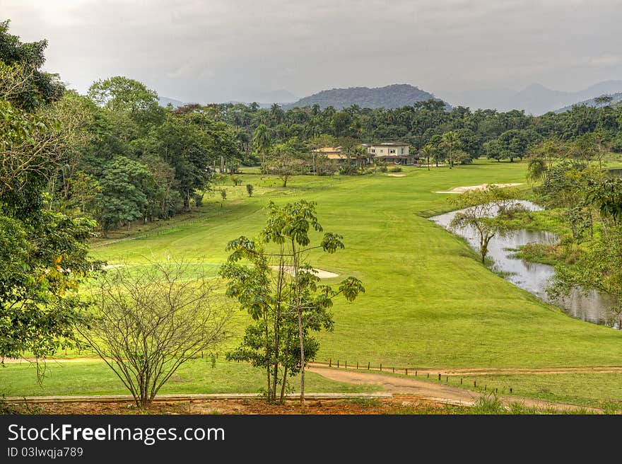 Green Meadow with Lake in Spring