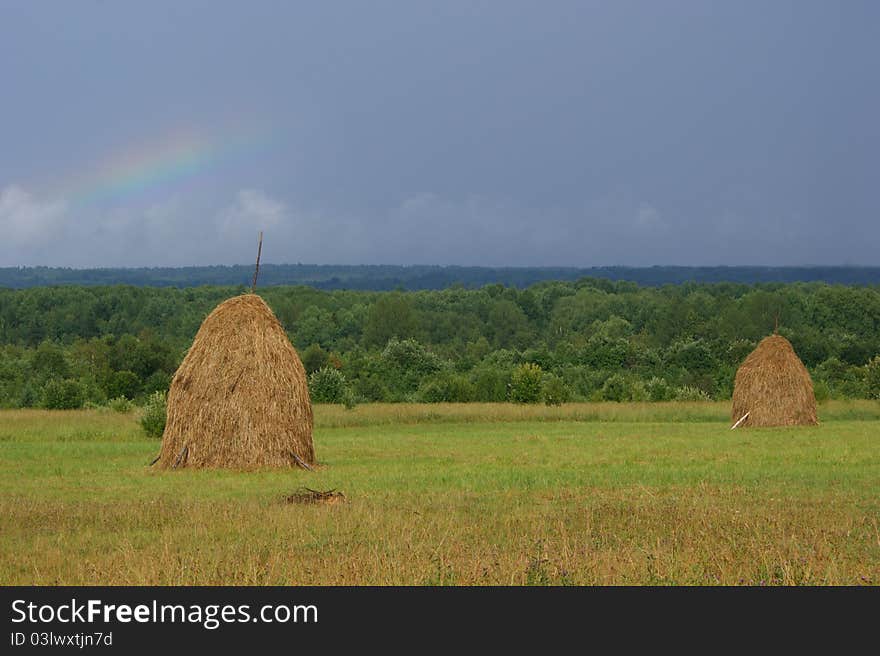 Hay, Vologda region, Russia