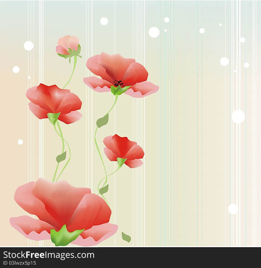 The red flowers, poppies on color background, best for card