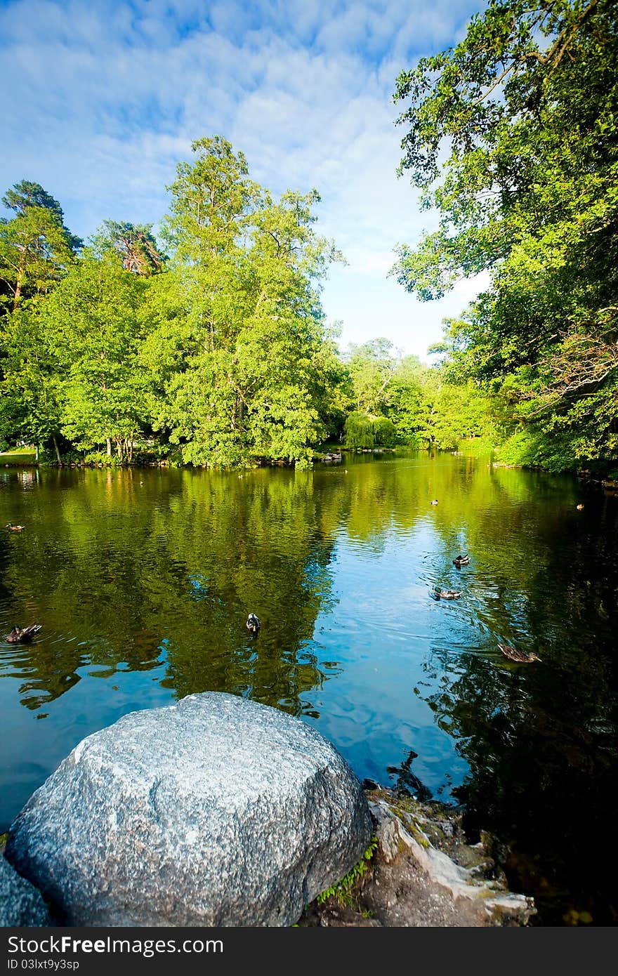 Little lake in the park