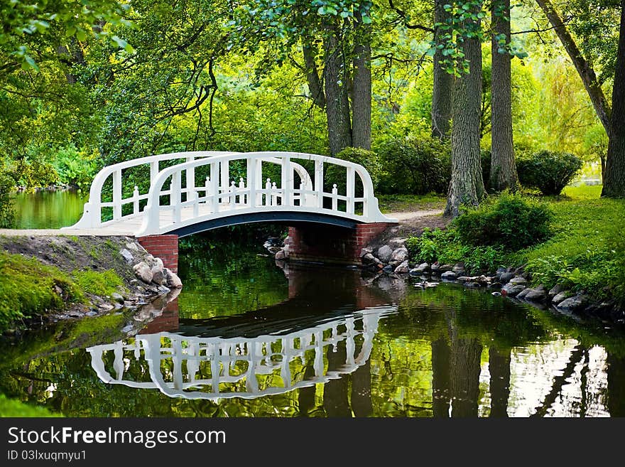 The Bridge in the park