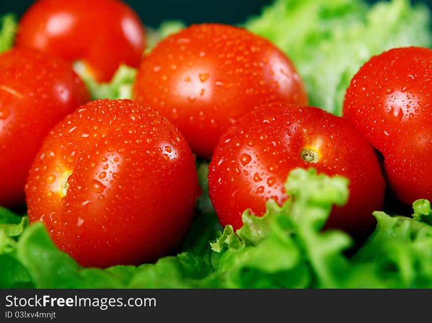 Fresh and wet tomatoes lying on the salad leaves