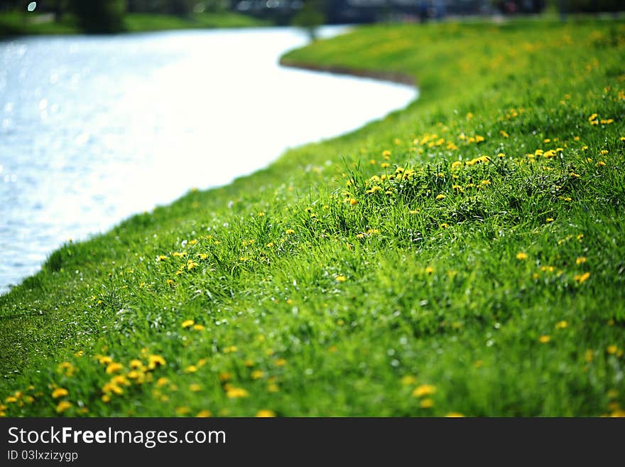 River with grass field full of yellow flowers