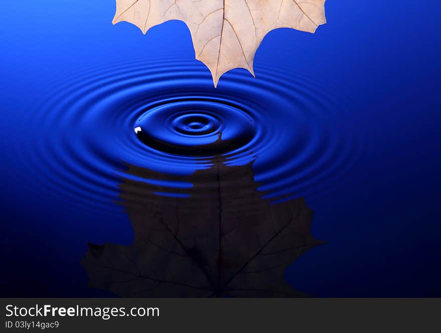 Drop of water falling into the water and leaving it circles.