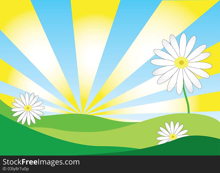 Vector of daisy background on sunshine day