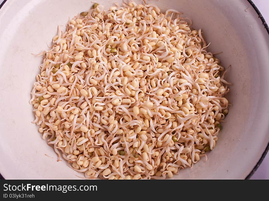 Sprouts In A Container