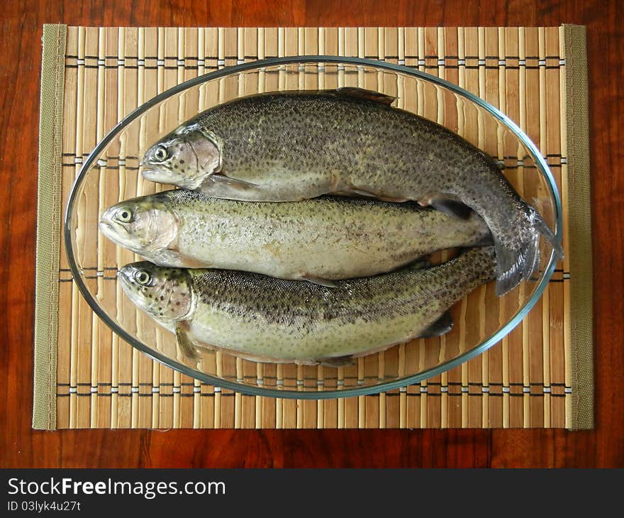 Three trout fishes in a glass bowl