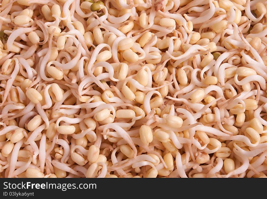 Sprouts in a container on background