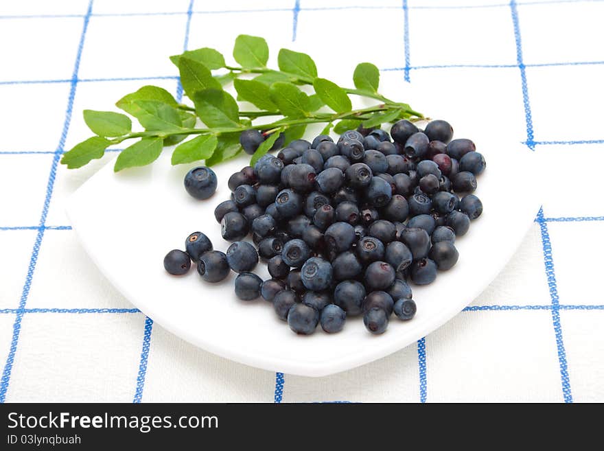 Blueberries and a sprig of green leaves on a white saucer on a checkered tablecloth. Blueberries and a sprig of green leaves on a white saucer on a checkered tablecloth