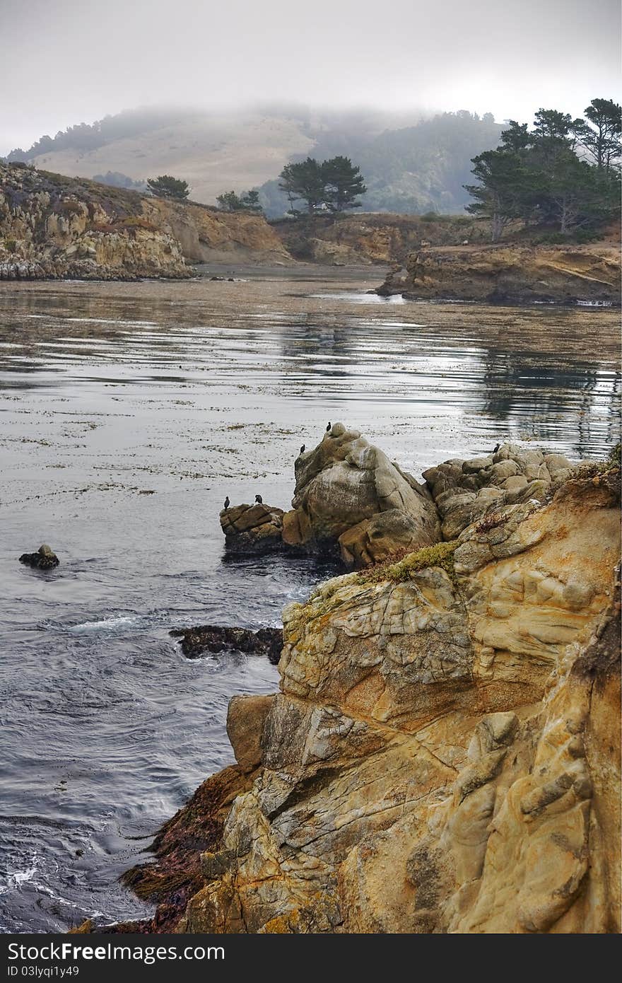 Coast Of Point Lobos, California