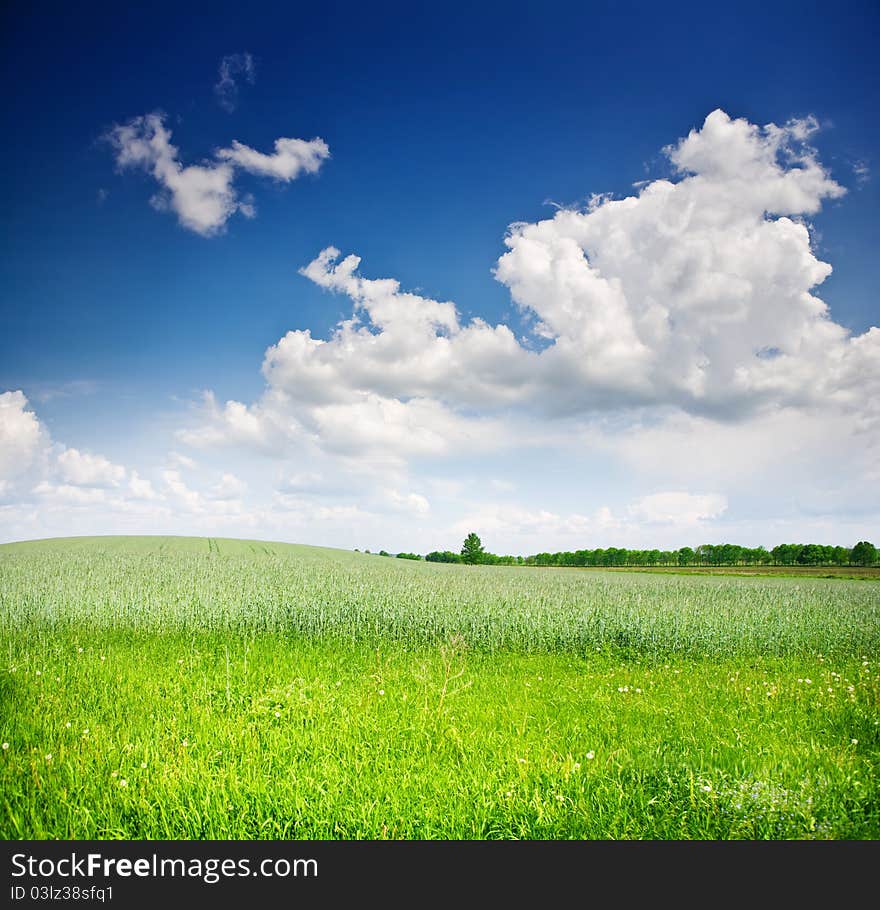 Outdoor day shot close up view on the field and sky with clouds