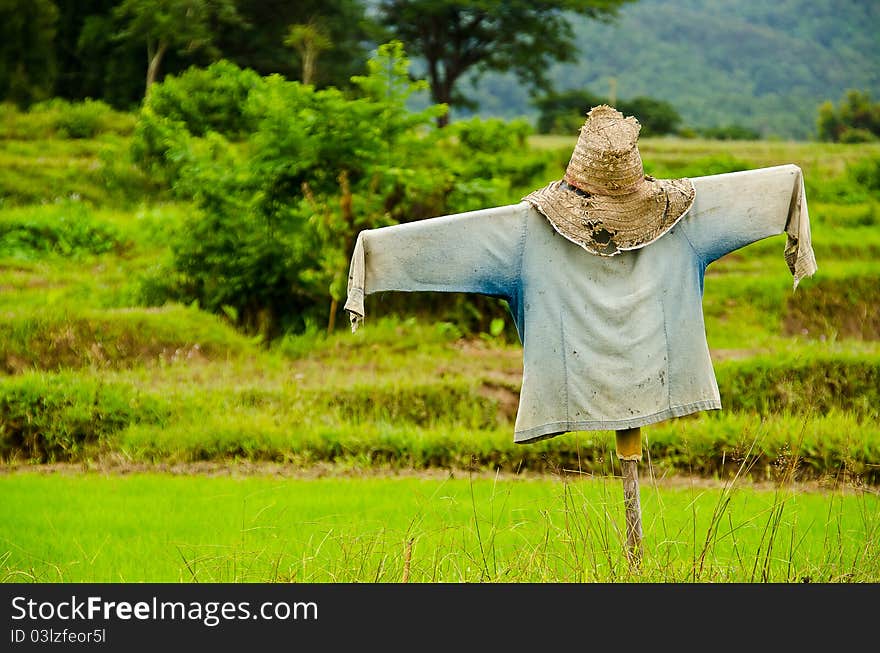 Thai Scarecrow