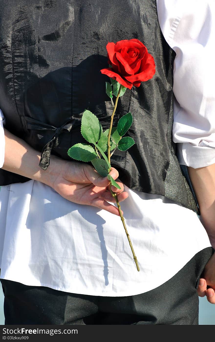 Back View Of Young Bridegroom And Flower