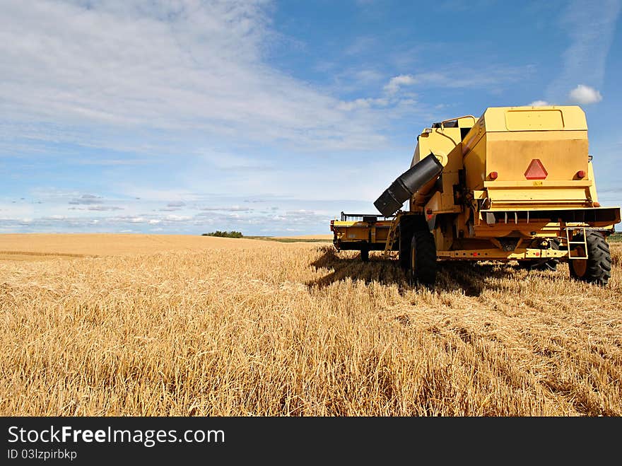 Yellow Combine In A Wheat Field