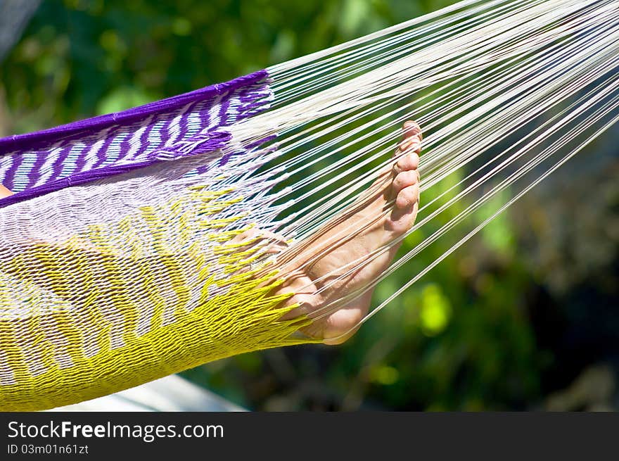 Women's feet in a colorful hammock. Fragment. Summer