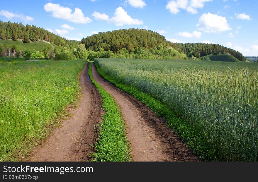 Country road to mountains and to the village