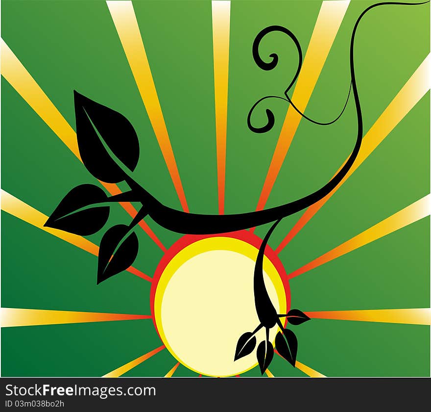 Abstract background with sun and flower. Abstract background with sun and flower