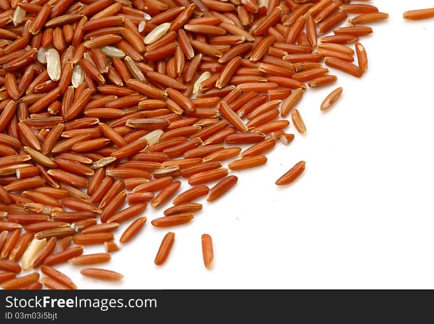 Rice Grain