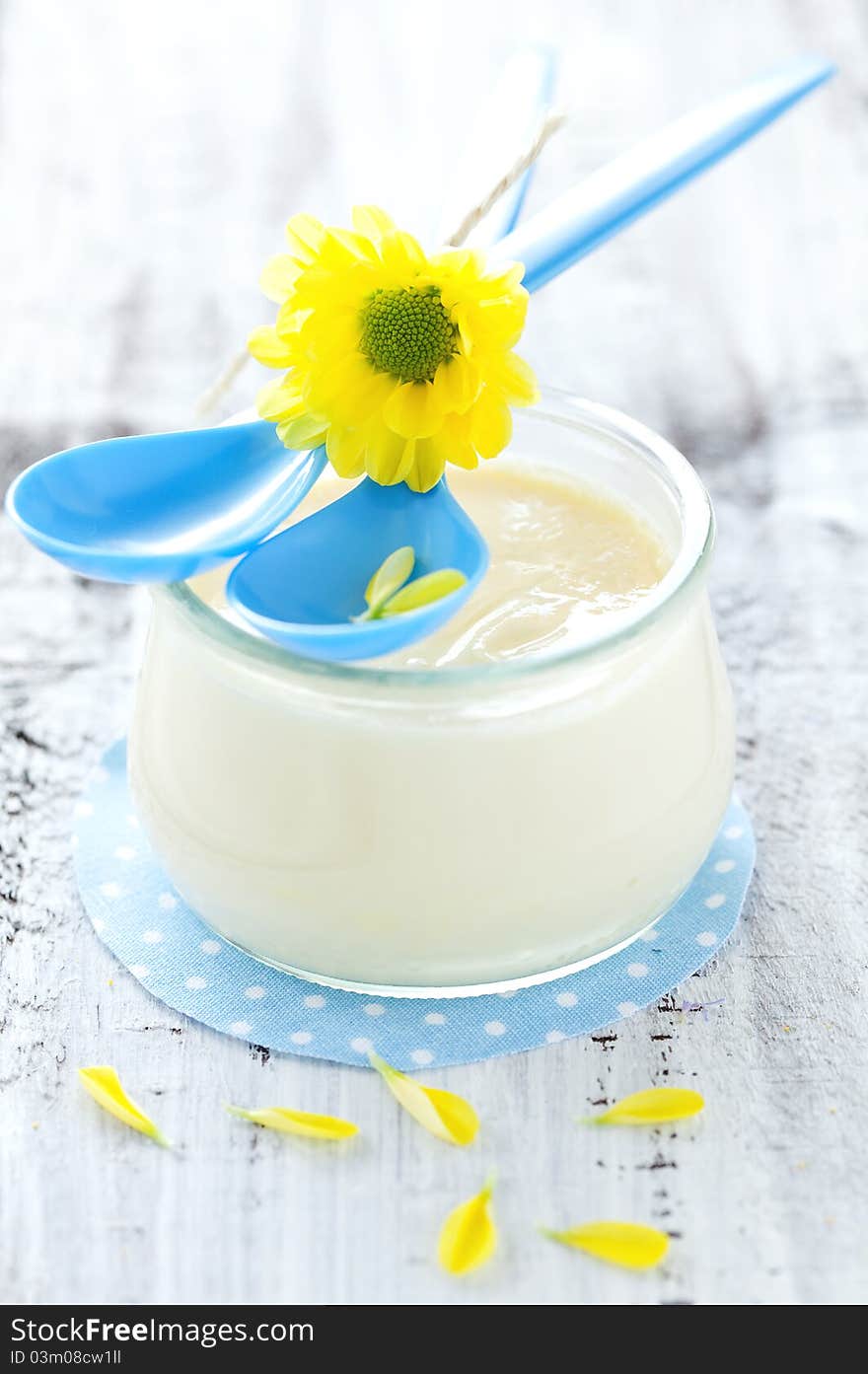 Fresh vanilla pudding