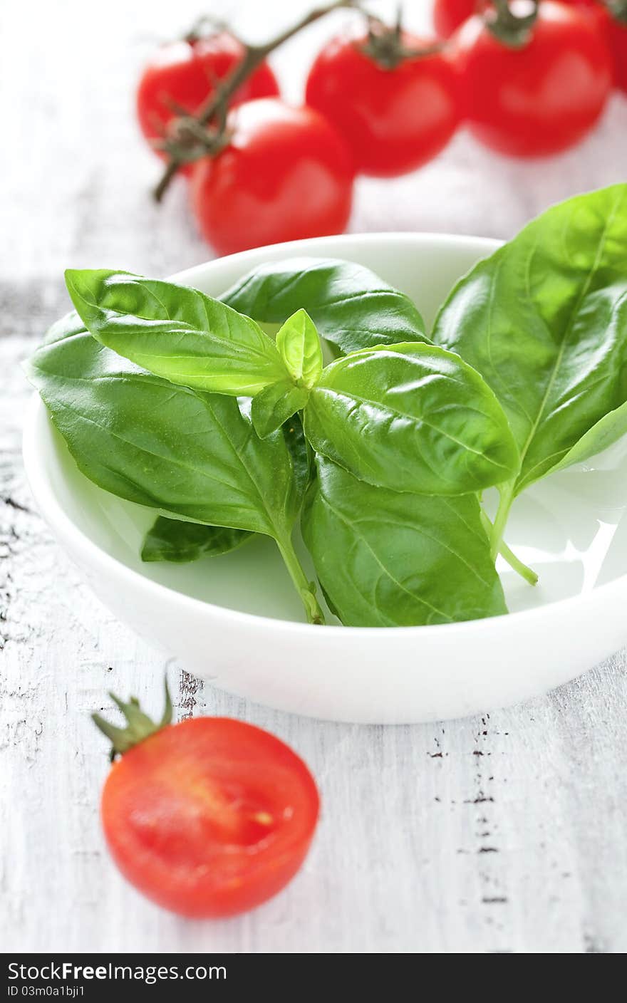 Fresh Basil