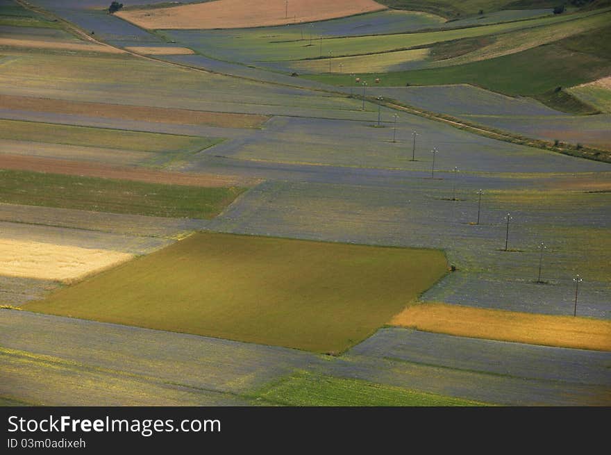 Photo of the colors of the summer in Umbria