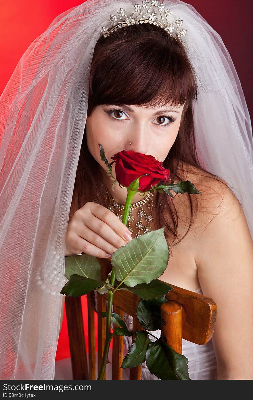 Bride with veil