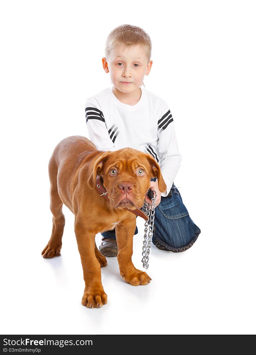 A cute boy with the dog. Isolated on a white background