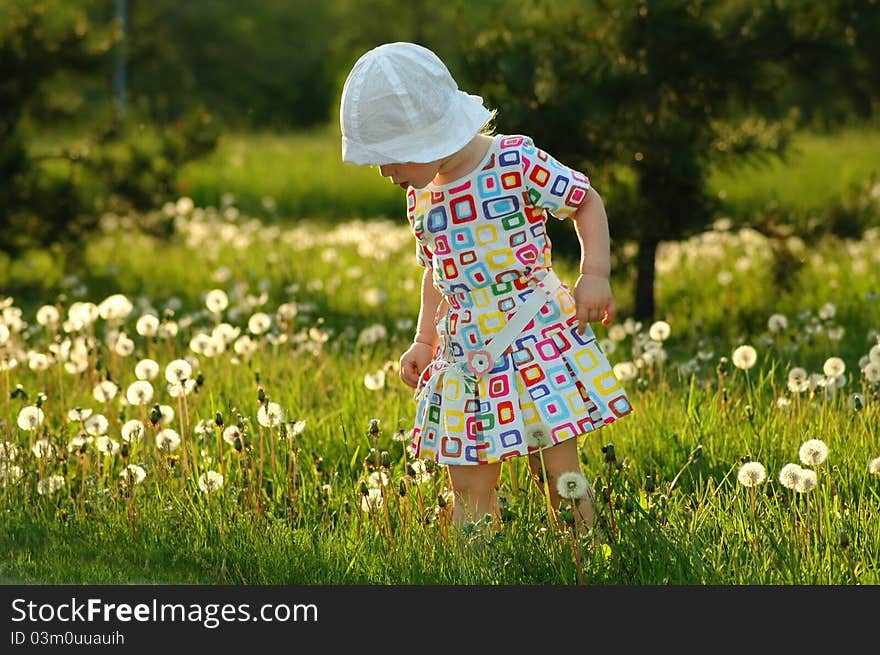 The little girl with dandelions