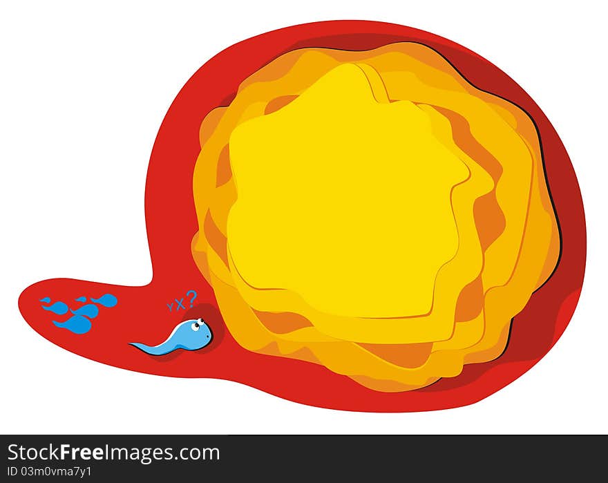 Spermatozoon and a large ovule