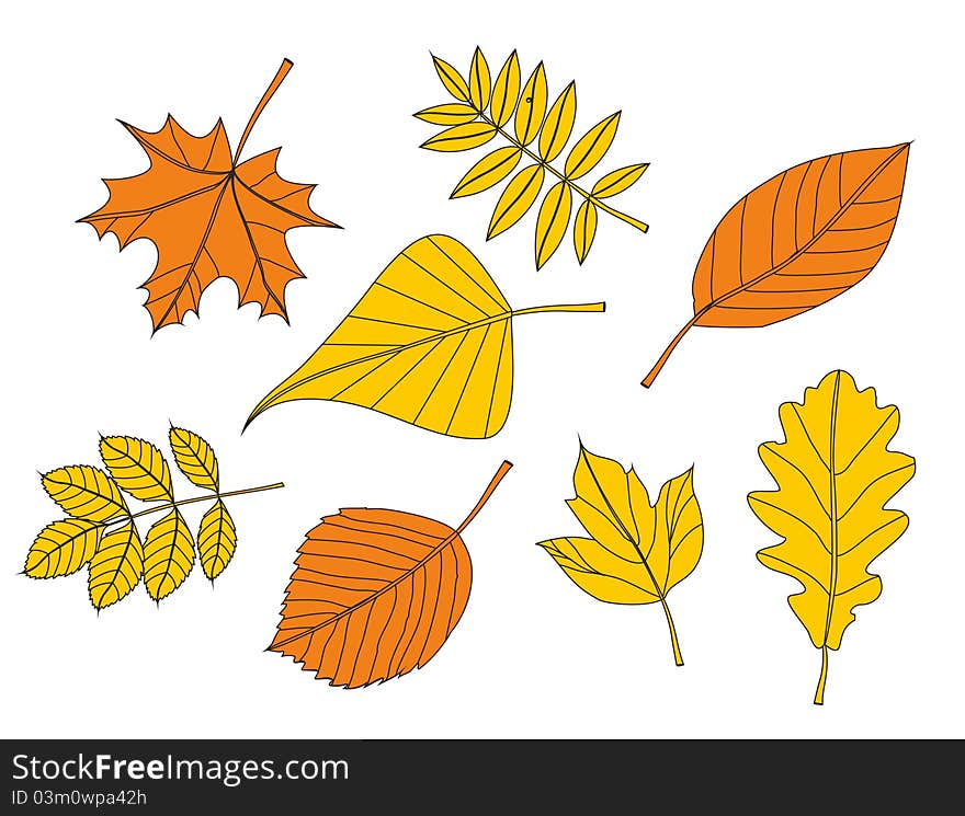 Stock Illustration: yellow autumn leaf