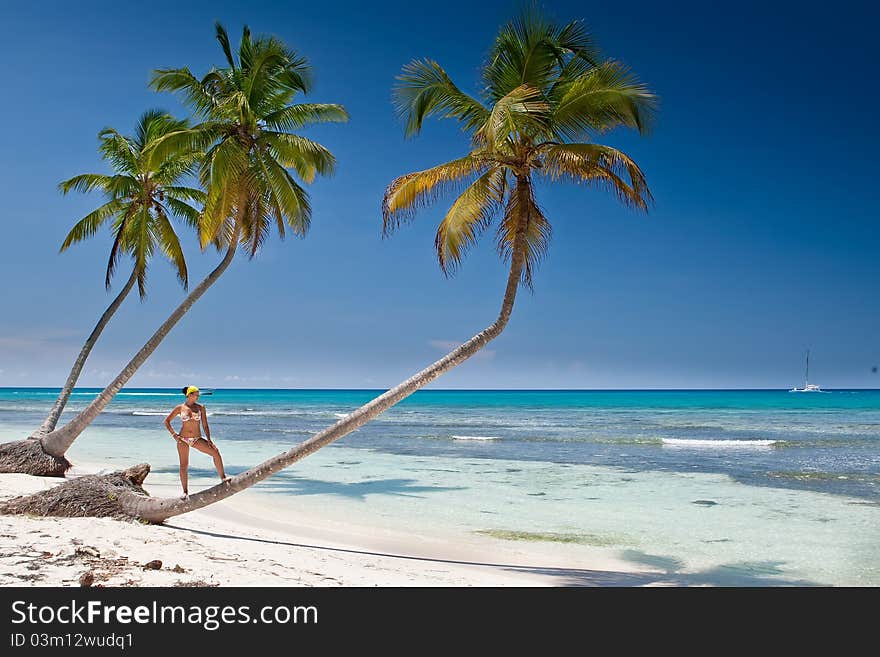 Tanned woman is standin on palm before blue sea