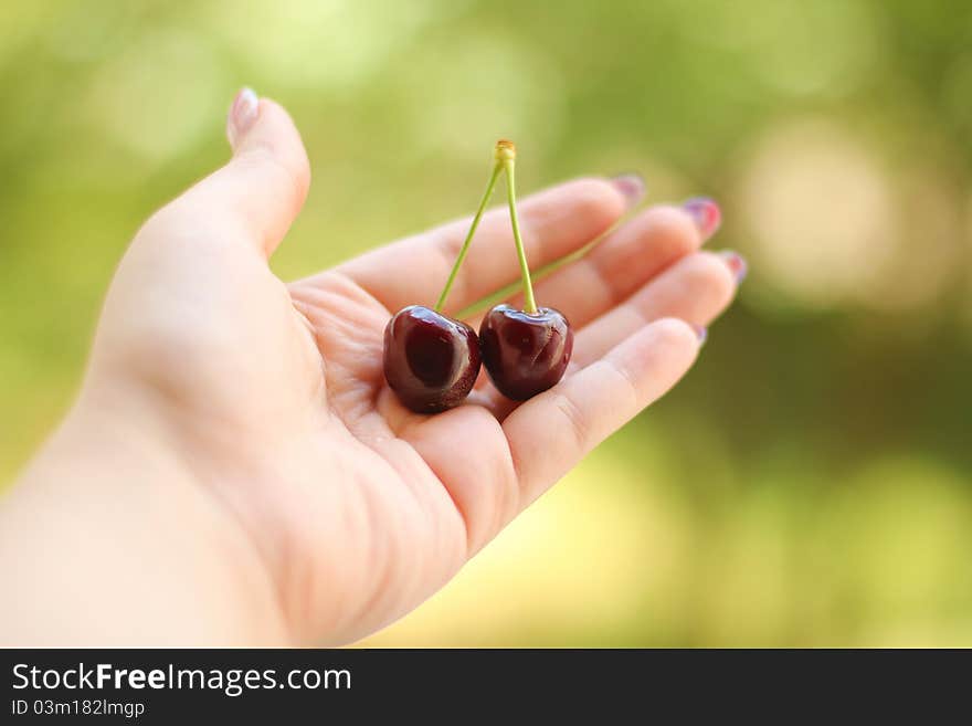 Cherry in the hand