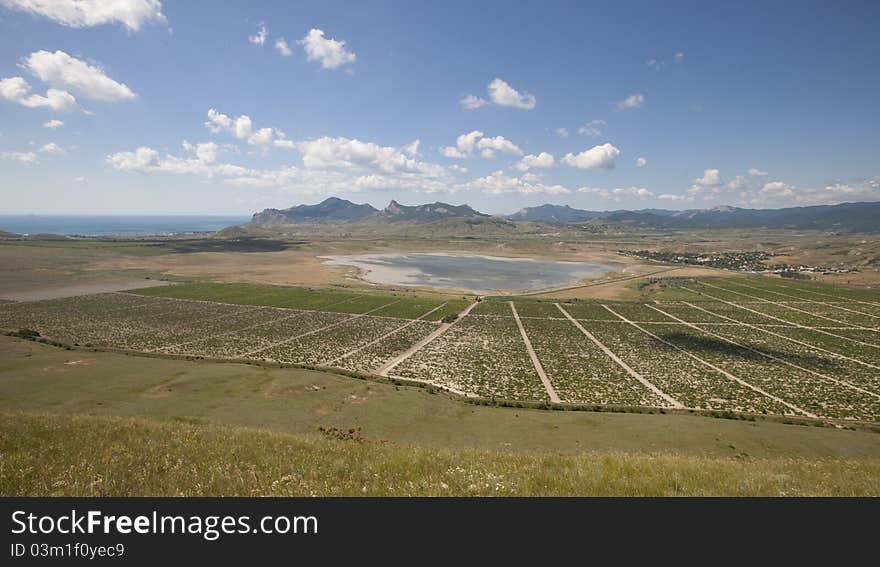 Grape fields are around beautiful mountain lake. Grape fields are around beautiful mountain lake